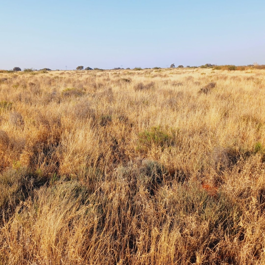  Bedroom Property for Sale in Jacobsdal Rural Free State